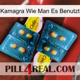 Kamagra How To Use cialis5